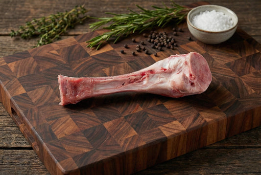 Passover Seder Shank Bone