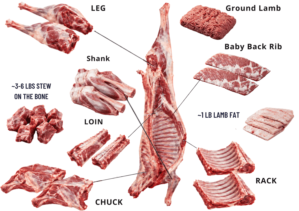 Half a Lamb